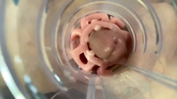 Jkrubs665  11-09-2021 video sissy